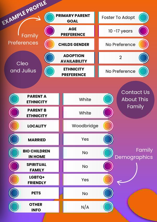 ADOPTIONFLIP DEMOFLIP - DECEMBER 2024 - Page 13